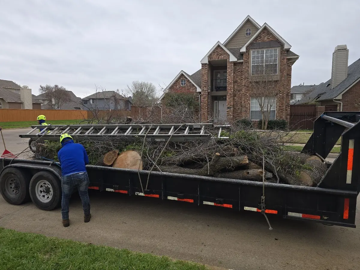 Expert Tree Removal with proper safety equipment in Dunn Center